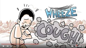 Preview image of video